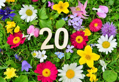 20 birthday number on flower meadow..