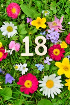 18 birthday number on flower meadow..