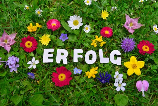 Success text on flower meadow.