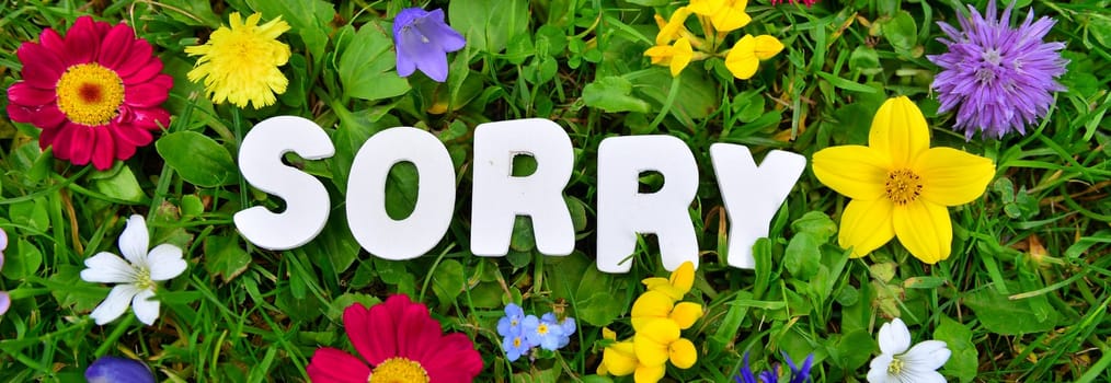 Sorry text on flower meadow.