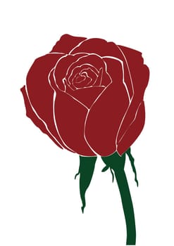 The Stock Vector Illustration rose icon isolated with white