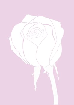 The Stock Vector Illustration rose icon isolated with white