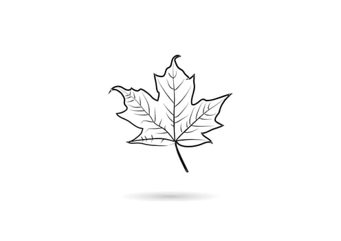 The creative vector abstract for maple leaf