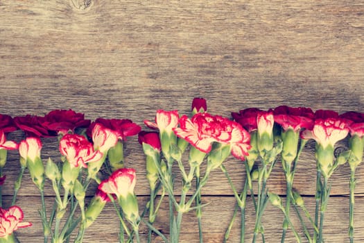 Carnations on old wooden background with copy-space