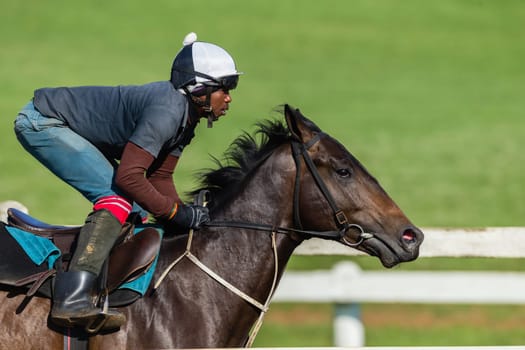 Horse Racing jockey rider morning training at Summerveld outside Durban South-Africa