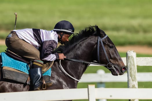 Horse Racing jockey rider morning training at Summerveld outside Durban South-Africa
