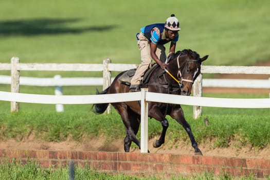 Horse Racing jockey rider morning training at Summerveld outside Durban South-Africa