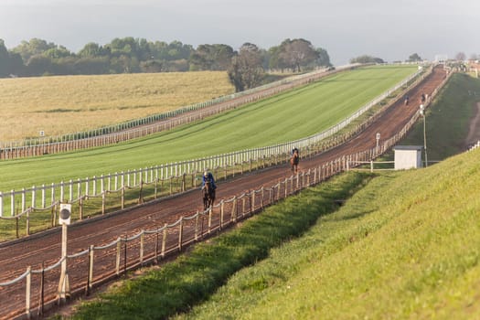 Horse Racing jockey rider morning training landscape countryside