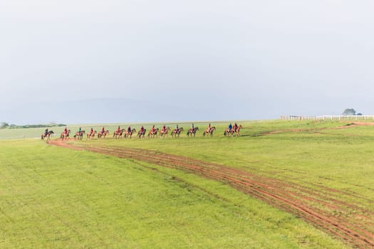 Horse Racing jockey rider morning training landscape countryside