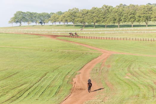 Horse Racing jockey rider morning training landscape countryside