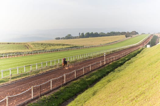 Horse Racing jockey rider morning training landscape countryside