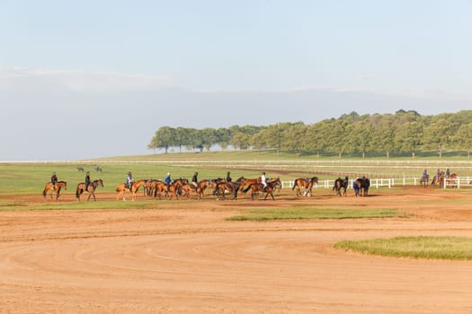 Horse Racing morning training at Summerveld outside Durban South-Africa