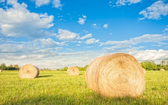 Big hay bale rolls in a green field with  blue sky and clouds
