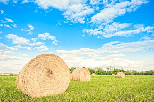 Big hay bale rolls in a green field with  blue sky and clouds