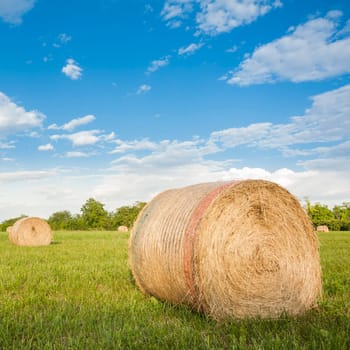 Big hay bale rolls in a green field with  blue sky and clouds