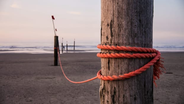 strong red rope on wooden stake