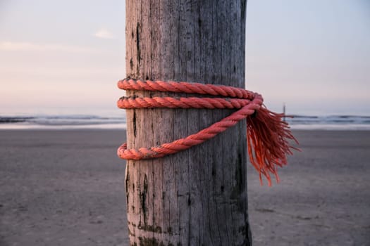 strong red rope on wooden stake