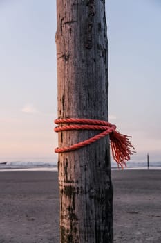 strong red rope on wooden stake