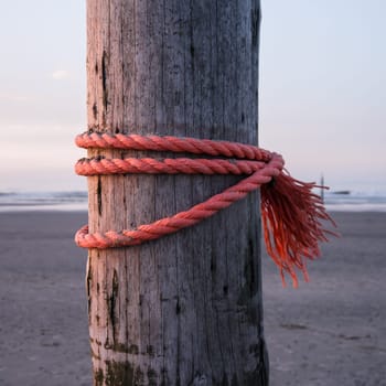 strong red rope on wooden stake