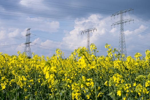 electrical tower and rapeseed and stormy clouds