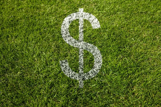 dollar symbol painted in white on meadow