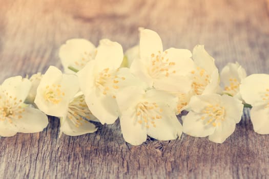Soft pastel  image with wild flowers on wooden background