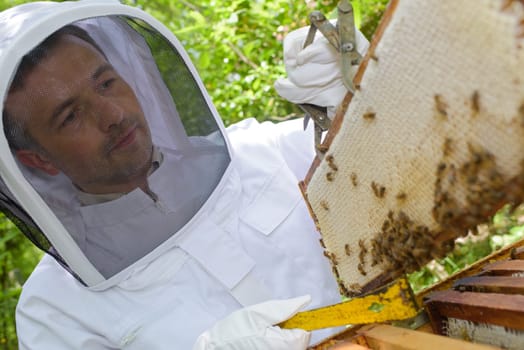 beekeeper with a sealed frame