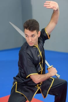 Martial arts expert using a sword