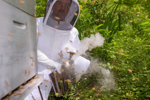 using a bee smoker