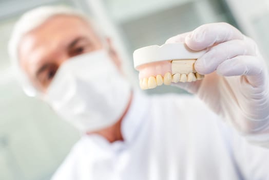 Dentist holding up a dental mould
