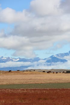 Overview of South Patagonia farmland