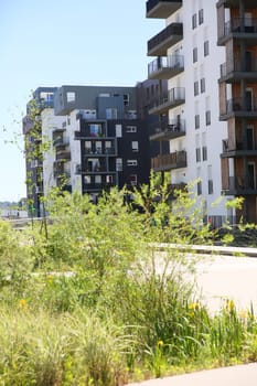 Details of architecture in green neighborhood