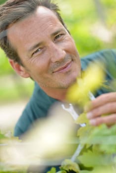 Smiling vinegrower standing in vineyard