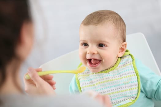 Mother giving fruit sauce to baby boy