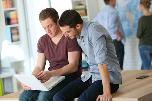 Colleagues sitting on office desk using laptop