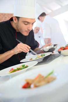 Chef in restaurant kitchen preparing dish