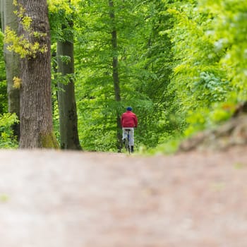 Male Cyclist Riding the Bike on the Beautiful Spring Forest Trail. Rear view. Man Cycling in Nature.