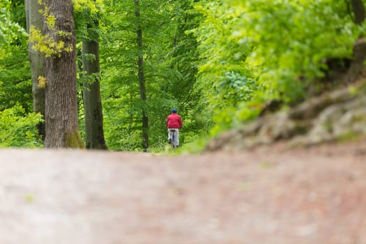 Male Cyclist Riding the Bike on the Beautiful Spring Forest Trail. Rear view. Man Cycling in Nature.
