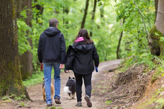 Middle aged couple walking their two dogs in forest.
