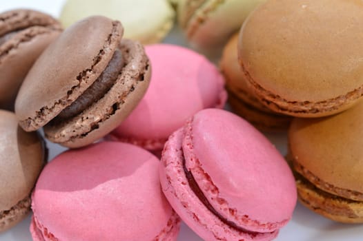 colorful macaroons on a white plate