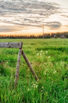 Wooden Fence in Field at sunrise.