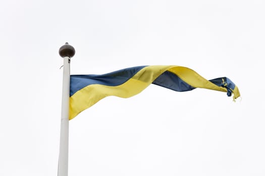 Swedish Yellow and Blue Pennant on white/grey background.