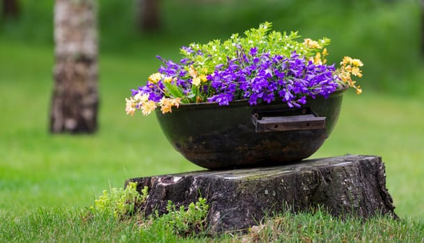 Flowers in Pot on Stump with a tree in the background and green grass.