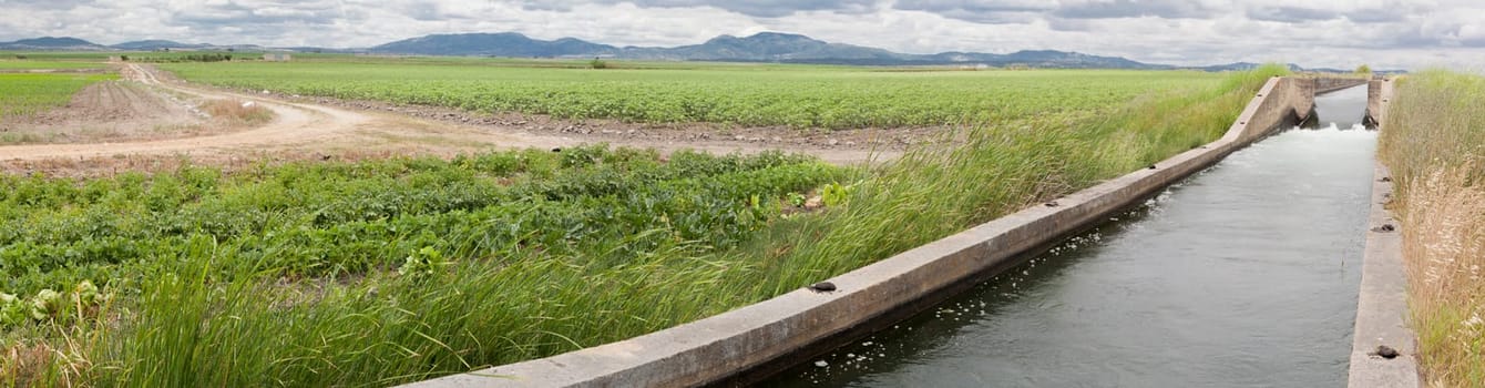 Hugh irrigation canal flows over the fertile meadows of High Guadiana or Vegas Altas, Extremadura, Spain. Panoramic shot