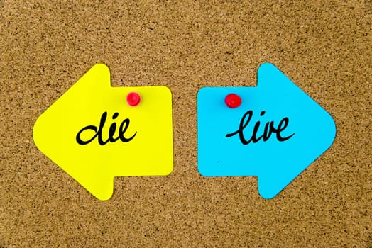Blank yellow and blue paper notes in shape of opposite arrows pinned on cork board with thumbtacks, copy space available