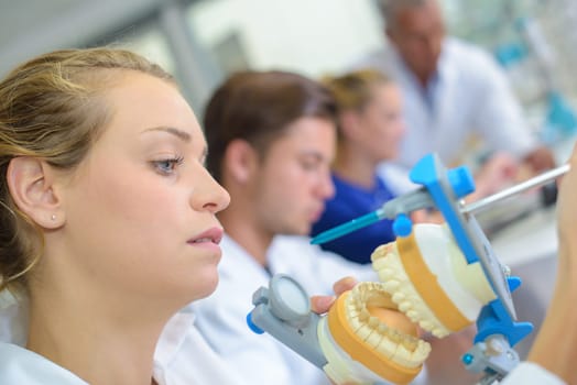 false teeth