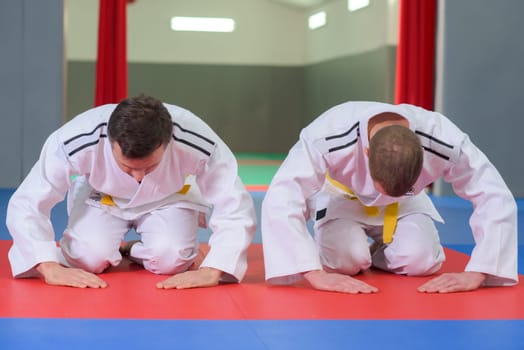 Two fighters bowing before a fight