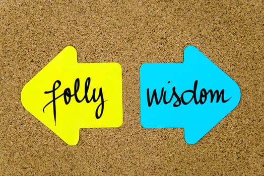 Message Folly versus Wisdom on yellow and blue paper notes as opposite arrows pinned on cork board with thumbtacks. Choice conceptual image