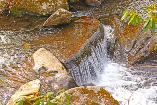Small Cascade in a Mountain Stream in the Great Smoky Mountains in Tennessee