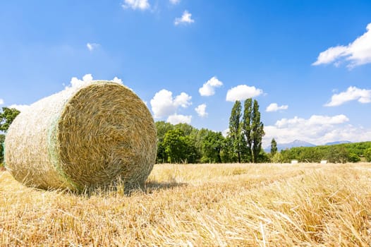 Rural landscape.Harvested field with straw bales in summer.
